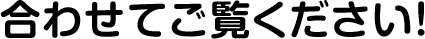 合わせてご覧ください！