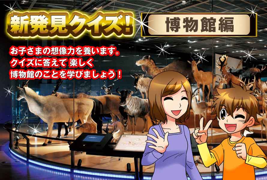 新発見クイズ！博物館編