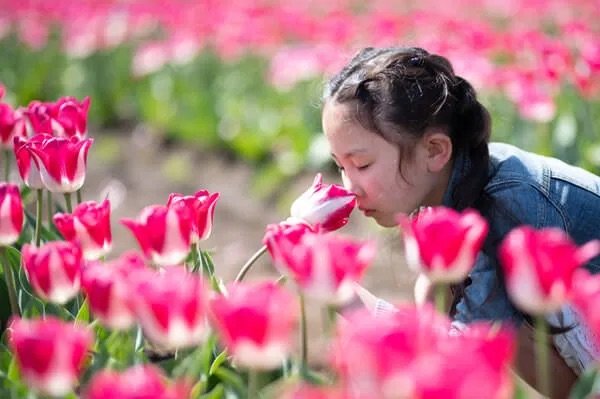 俳句のタネは、季語を含まなければどんなものでもOKです。
