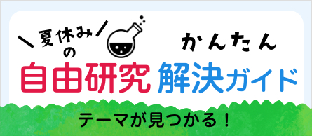 夏休みの自由研究 かんたん解決ガイド テーマが見つかる！