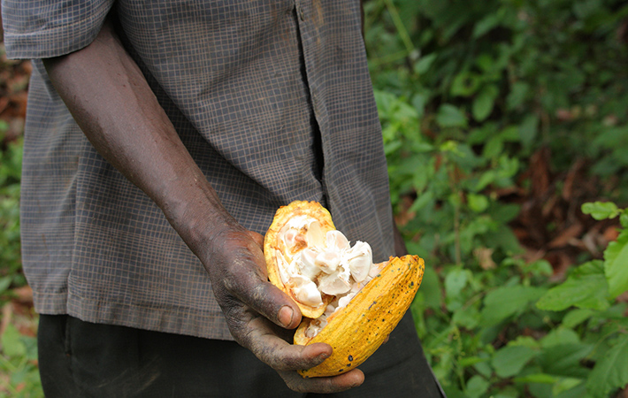 「フェアトレード＝公平な貿易」ってどういうこと？