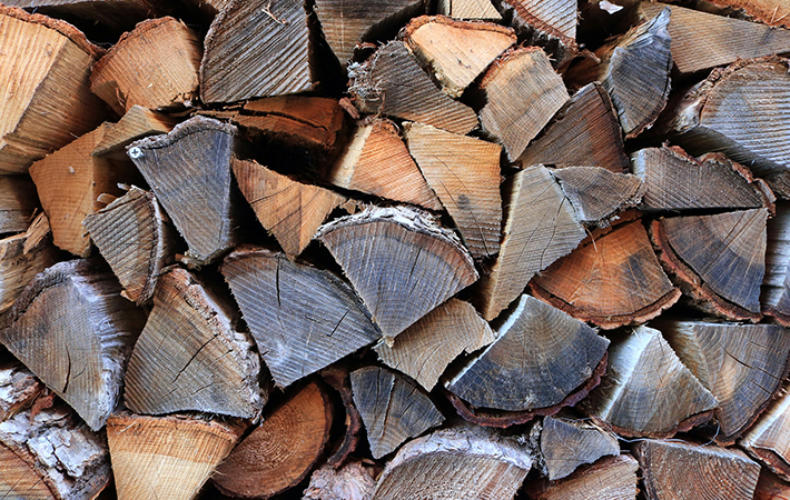 バイオマスとは？