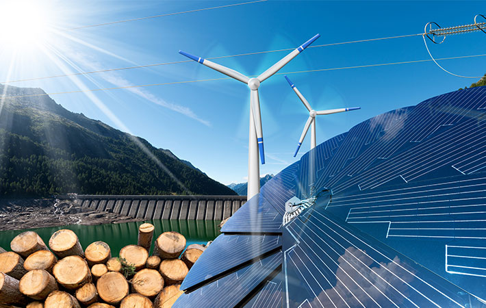 バイオマス発電について理解しよう