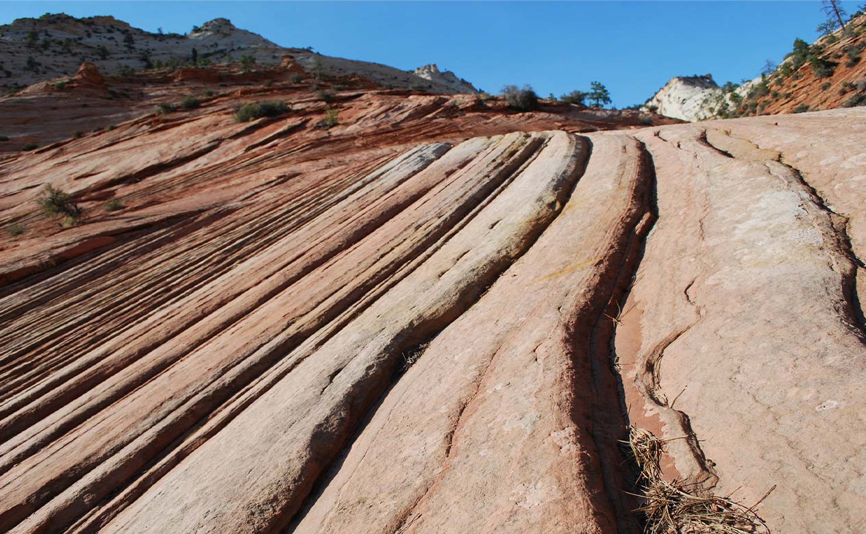 まずは砂漠化に関心を持とう