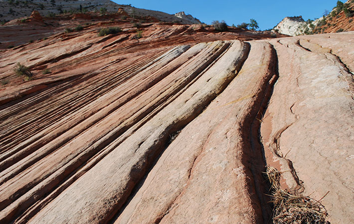 まずは砂漠化に関心を持とう