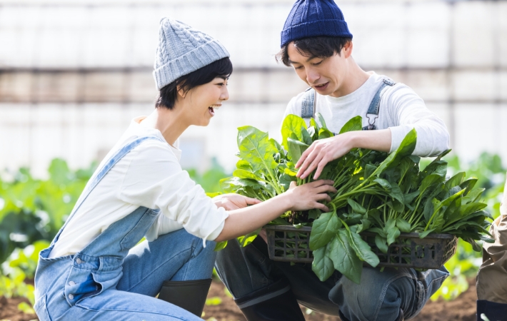 食品ロス削減推進法を理解して食品ロスを防ぎましょう