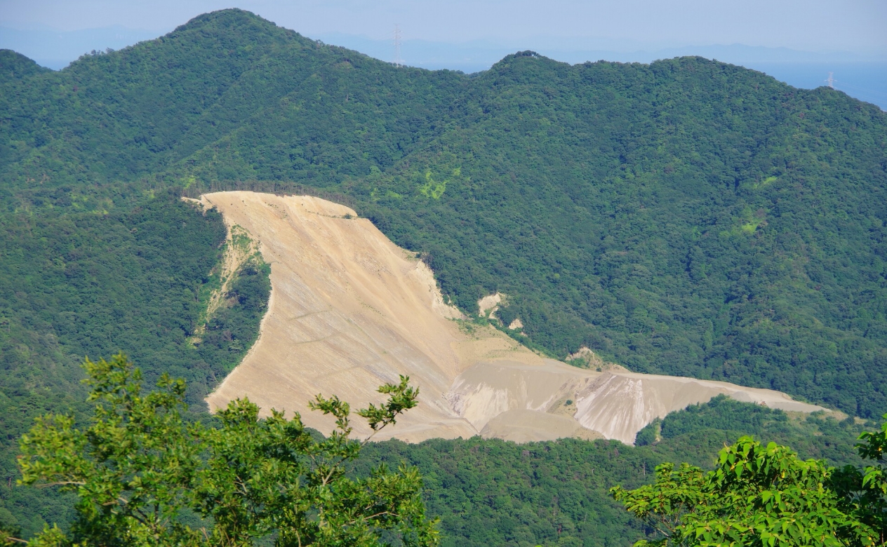 森林破壊について理解を深めよう