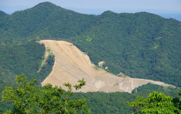森林破壊について理解を深めよう