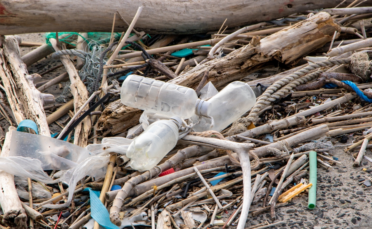 環境汚染を知って今できることを始めよう