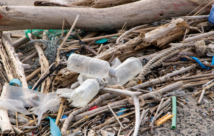 環境汚染を知って今できることを始めよう