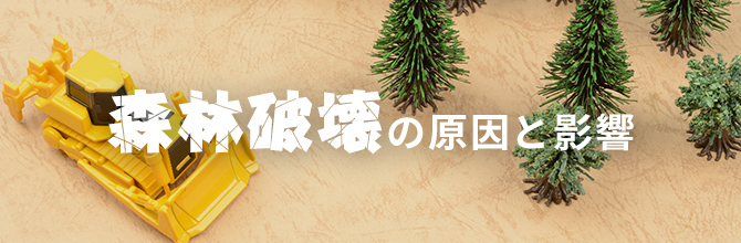 森林破壊の原因と影響とは？私たちにできることや世界の取り組みも紹介