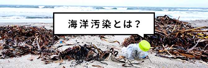 海洋汚染とはなに？環境に与える影響や今できる4つの対策を紹介