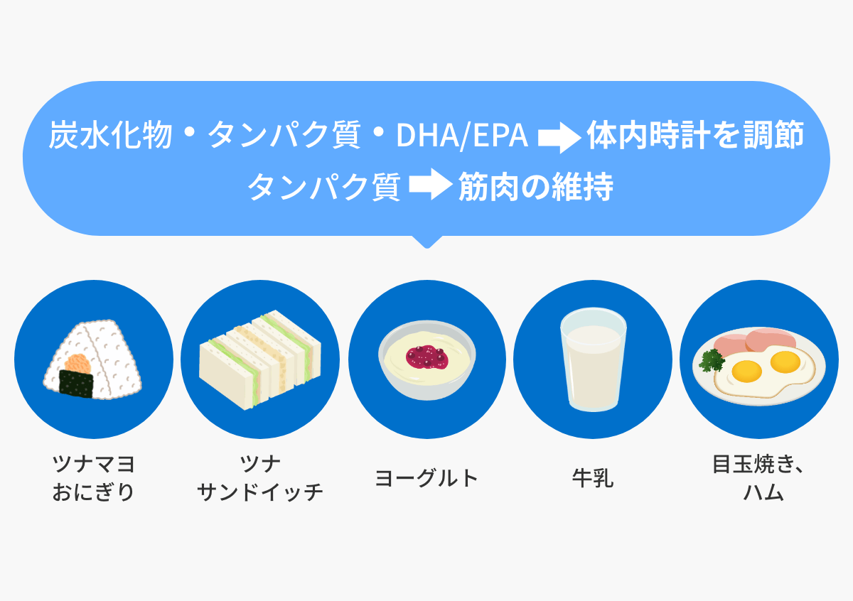 炭⽔化物・タンパク質・DHA/EPAは体内時計を調節。タンパク質は筋⾁の維持