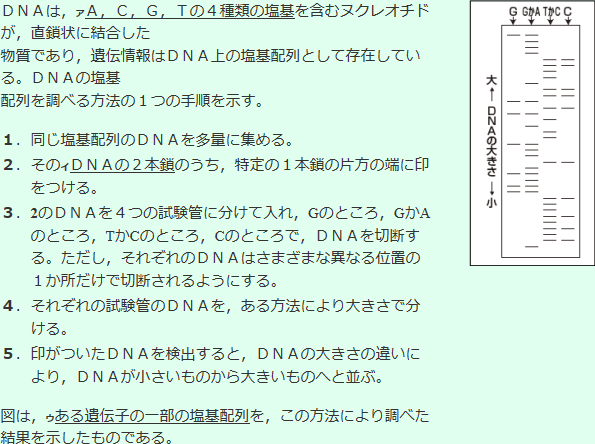 DNAの塩基配列の決定方法