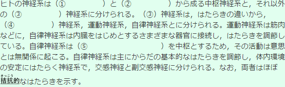 神経系についての問題文