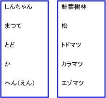 シンちゃん待って届かへん