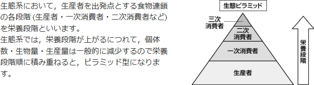 生態ピラミッドの図