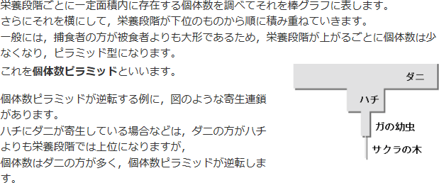 個体数ピラミッド参考図