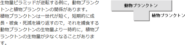 生物量ピラミッド参考図