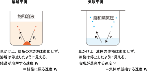 【化学平衡】平衡状態とはどのような状態でしょうか。   