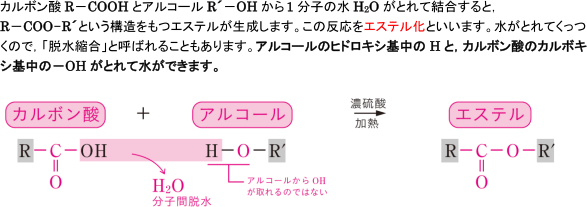 【脂肪族化合物の性質】エステル化って何?