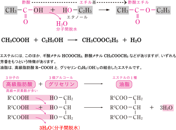 【脂肪族化合物の性質】エステル化って何?