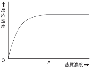 【生命現象とタンパク質】酵素反応のグラフの見方がわかりません。