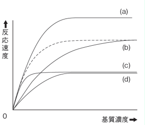 【生命現象とタンパク質】酵素反応のグラフの見方がわかりません。