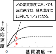【生命現象とタンパク質】酵素反応のグラフの見方がわかりません。