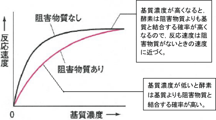 【生命現象とタンパク質】酵素反応のグラフの見方がわかりません。