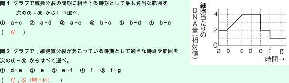 【生殖と減数分裂】「DNA量」の変化のグラフがわかりません。