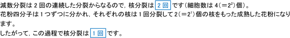 【植物の発生】被子植物が胚のうや花粉を形成するときの核分裂の違い|定期テスト対策サイト