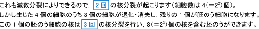 【植物の発生】被子植物が胚のうや花粉を形成するときの核分裂の違い|定期テスト対策サイト