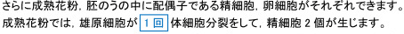 【植物の発生】被子植物が胚のうや花粉を形成するときの核分裂の違い|定期テスト対策サイト