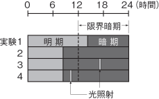 【植物の環境応答】【生物と光】花芽形成のしくみの問題で,グラフから植物を見分ける方法がわかりません。