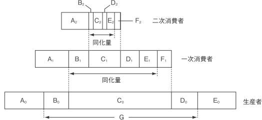 【生物群集と生態系】エネルギー効率の計算の仕方がわかりません。