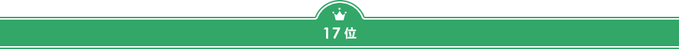 17位